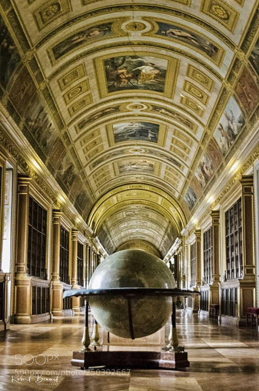 Nikon D7000 sample photo. Fontainebleau librairy photography