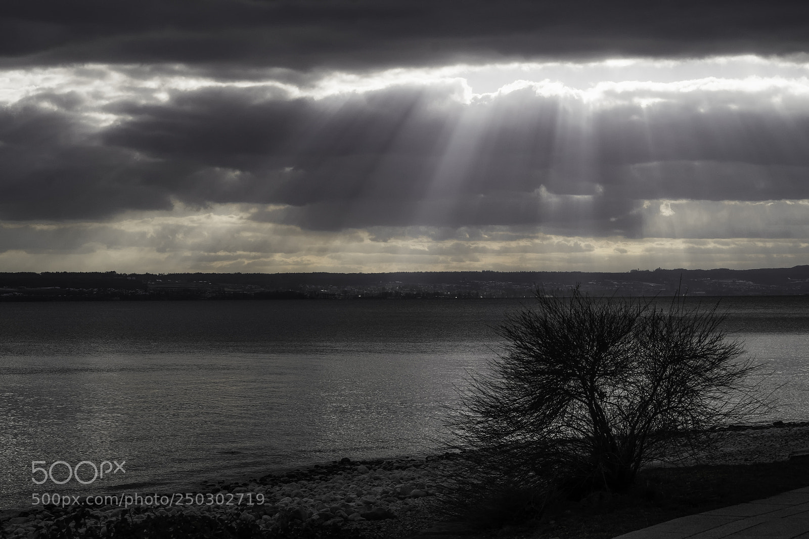 Fujifilm X-T1 sample photo. Der geist ber den photography