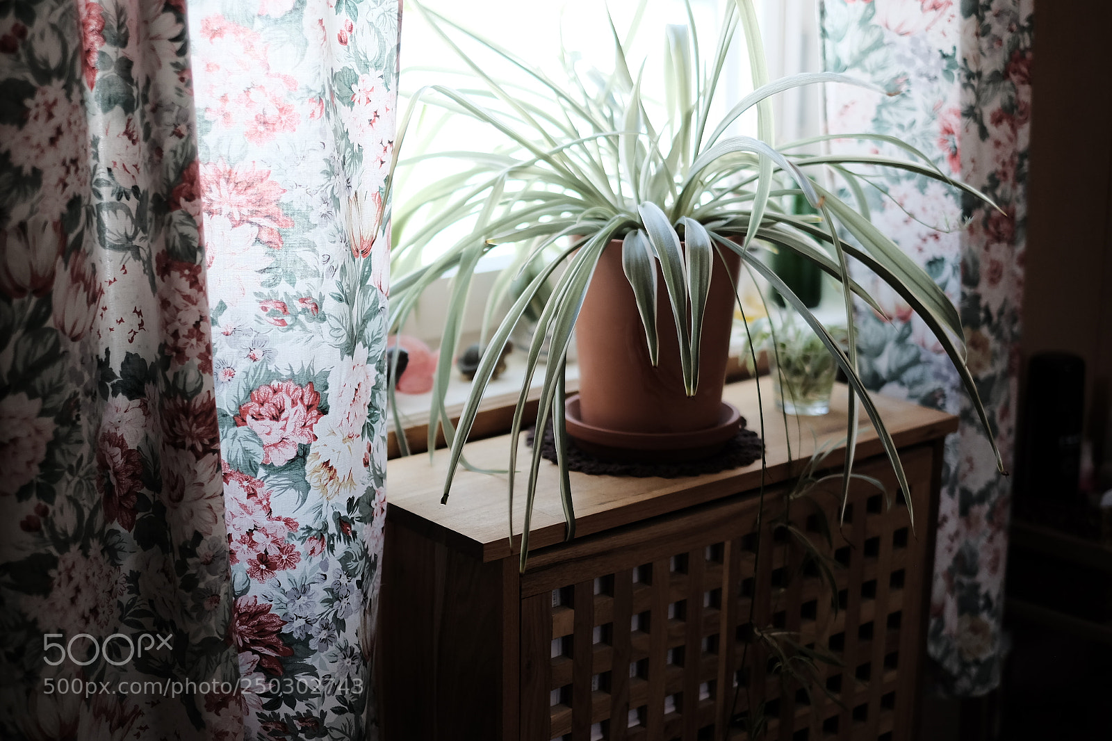 Fujifilm X-T1 sample photo. Pastel photography
