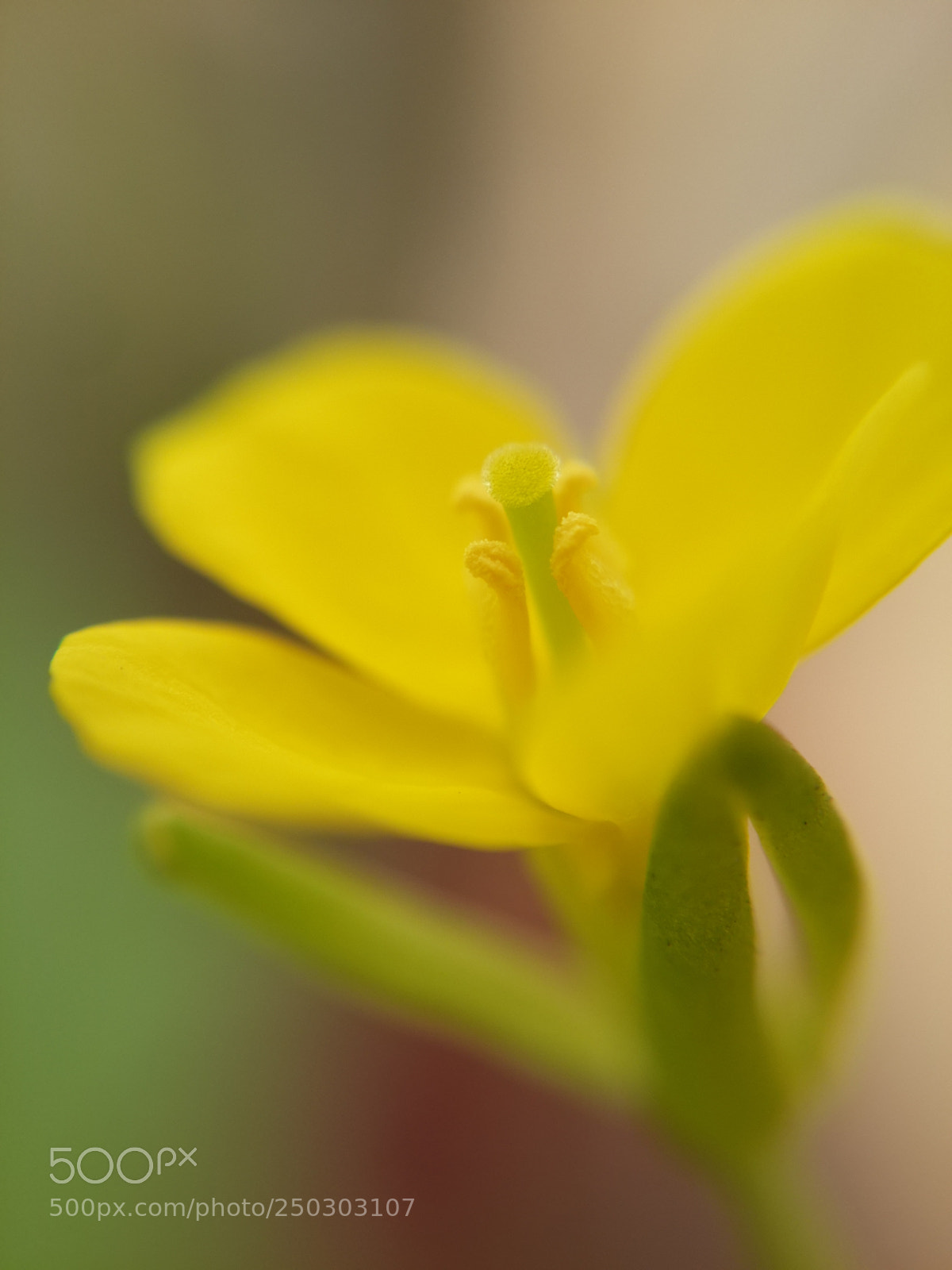 Samsung Galaxy S4 sample photo. * photography