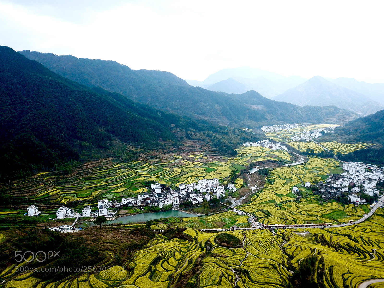 DJI FC220 sample photo. 婺源梯田花海 photography