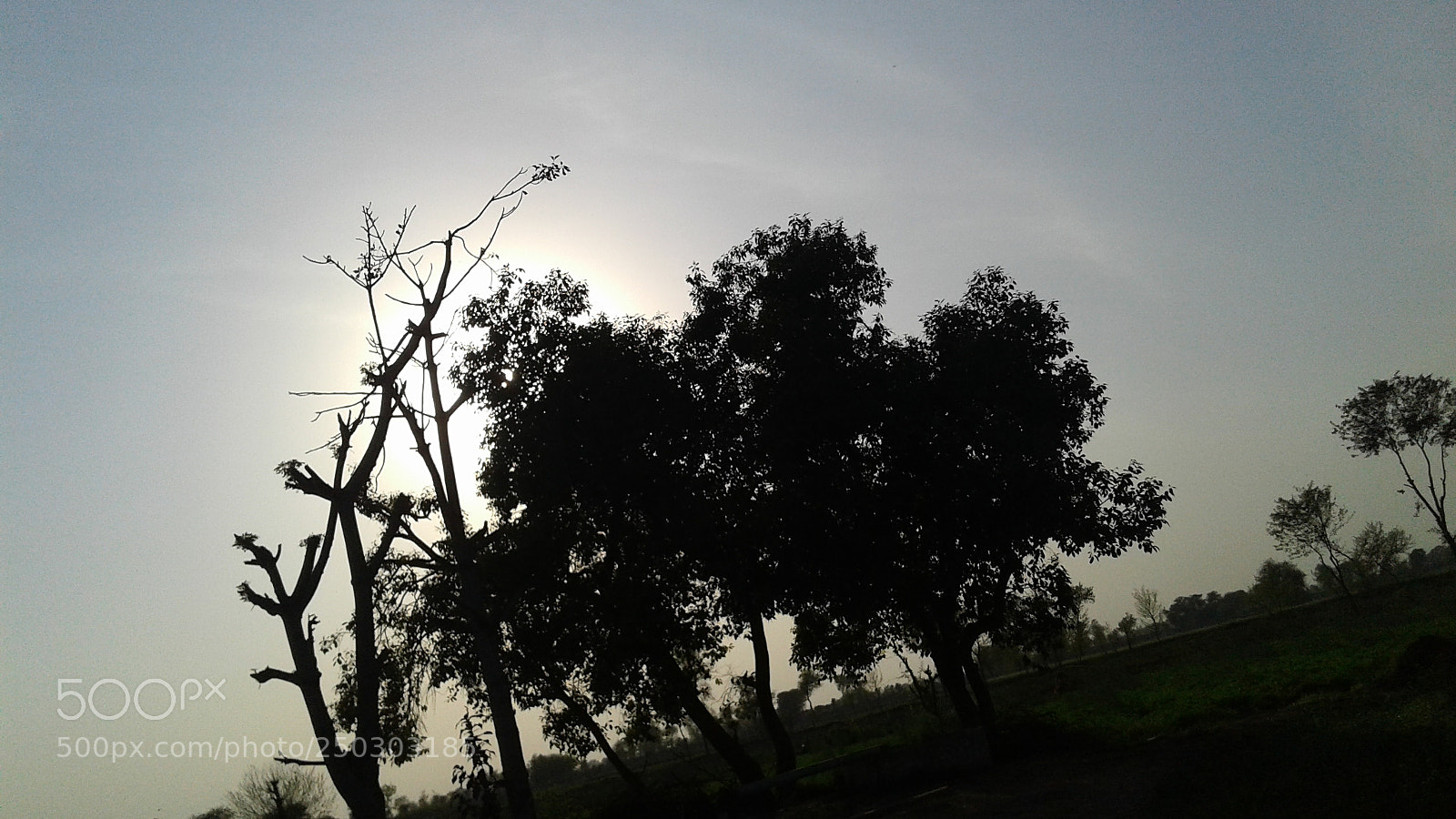 Samsung Galaxy J2 sample photo. Untitled photography