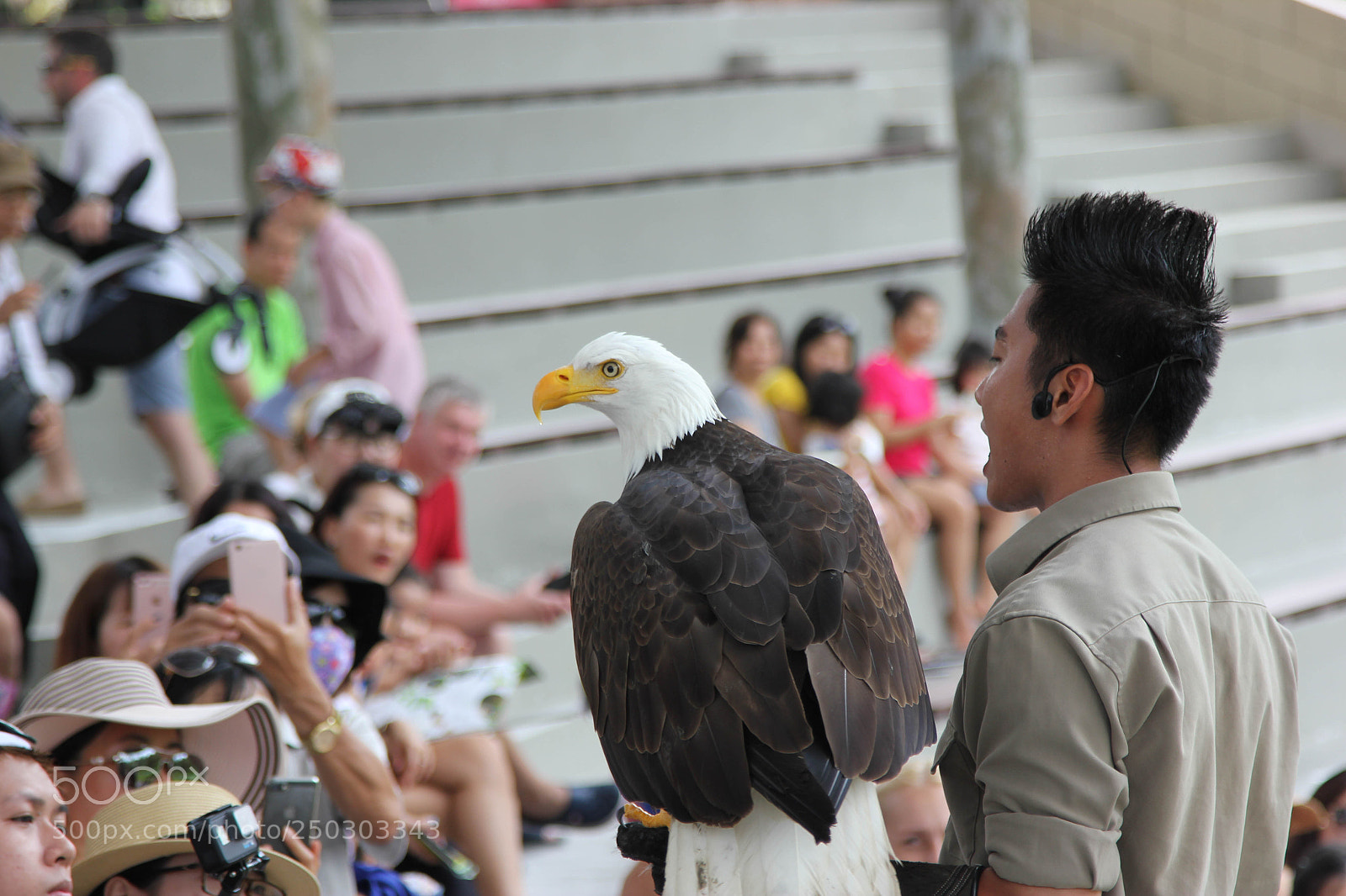 Canon EOS 550D (EOS Rebel T2i / EOS Kiss X4) sample photo. America symbol photography