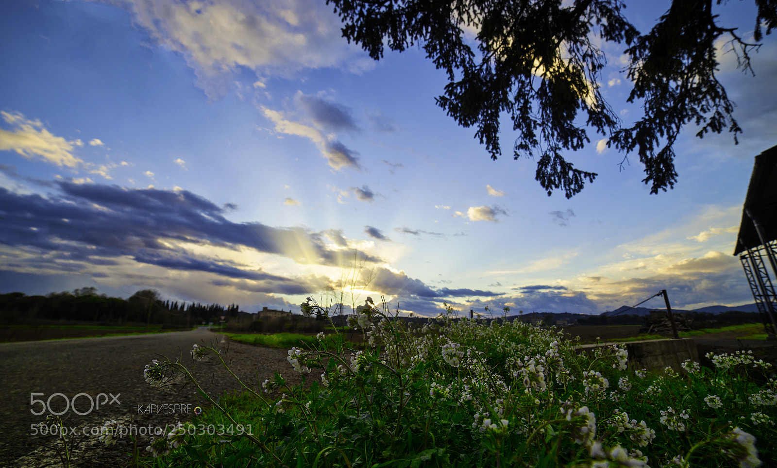 Nikon D610 sample photo. First lights photography
