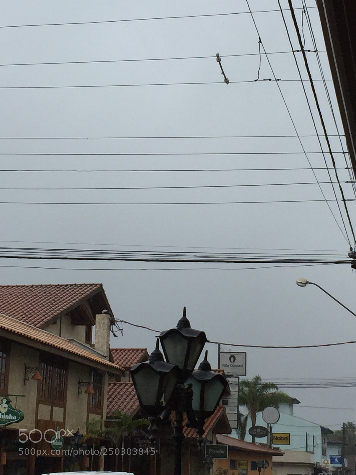 Apple iPhone 6 sample photo. Untitled photography