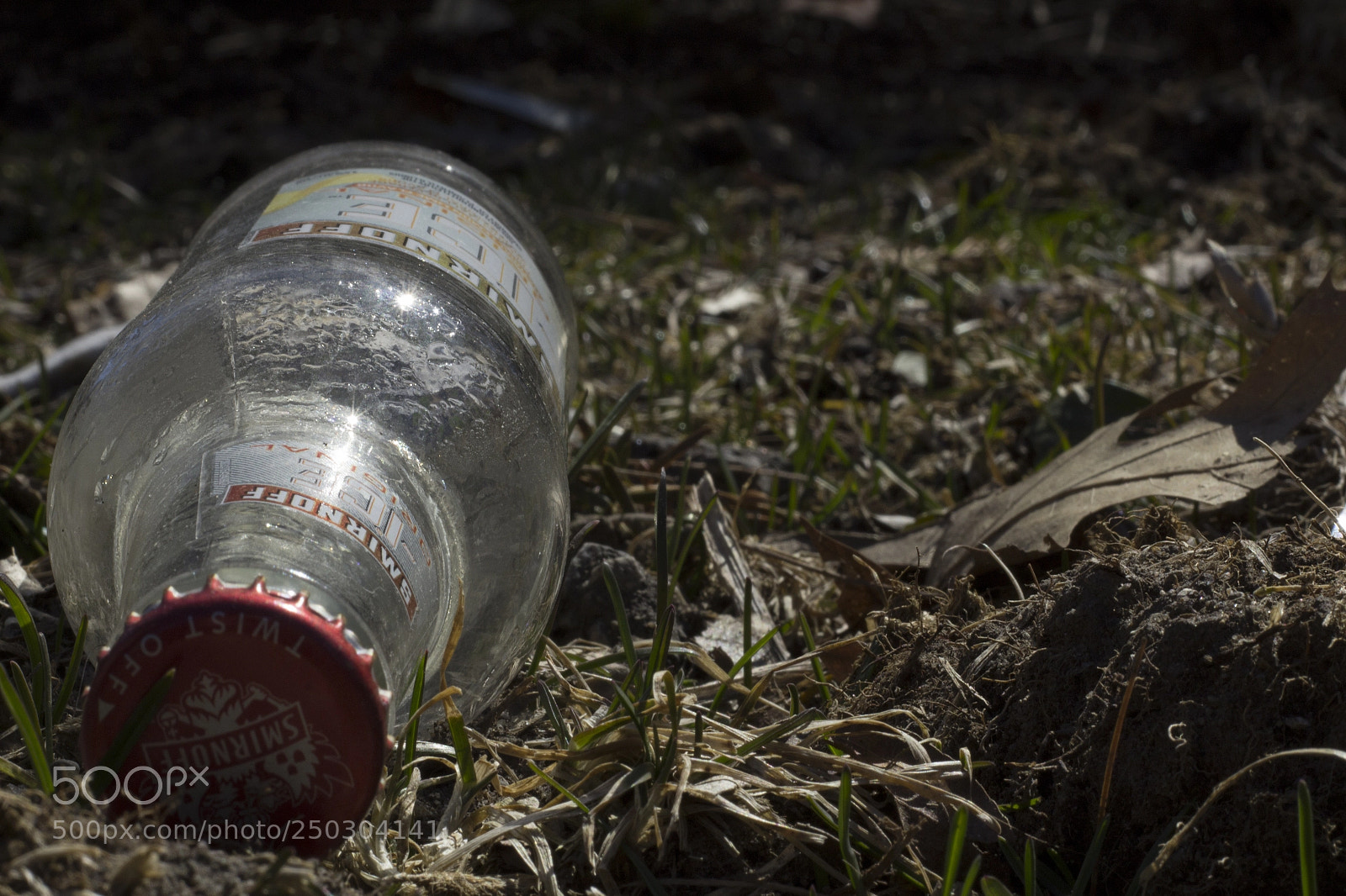 Canon EOS 1200D (EOS Rebel T5 / EOS Kiss X70 / EOS Hi) sample photo. Smirnoff photography