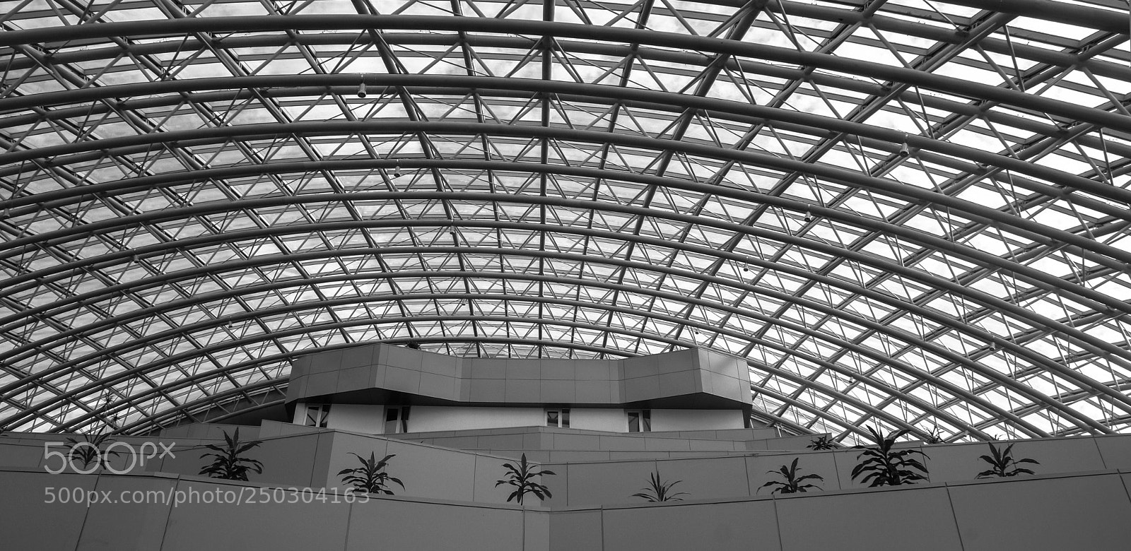 Sony Alpha NEX-7 sample photo. Dsc photography