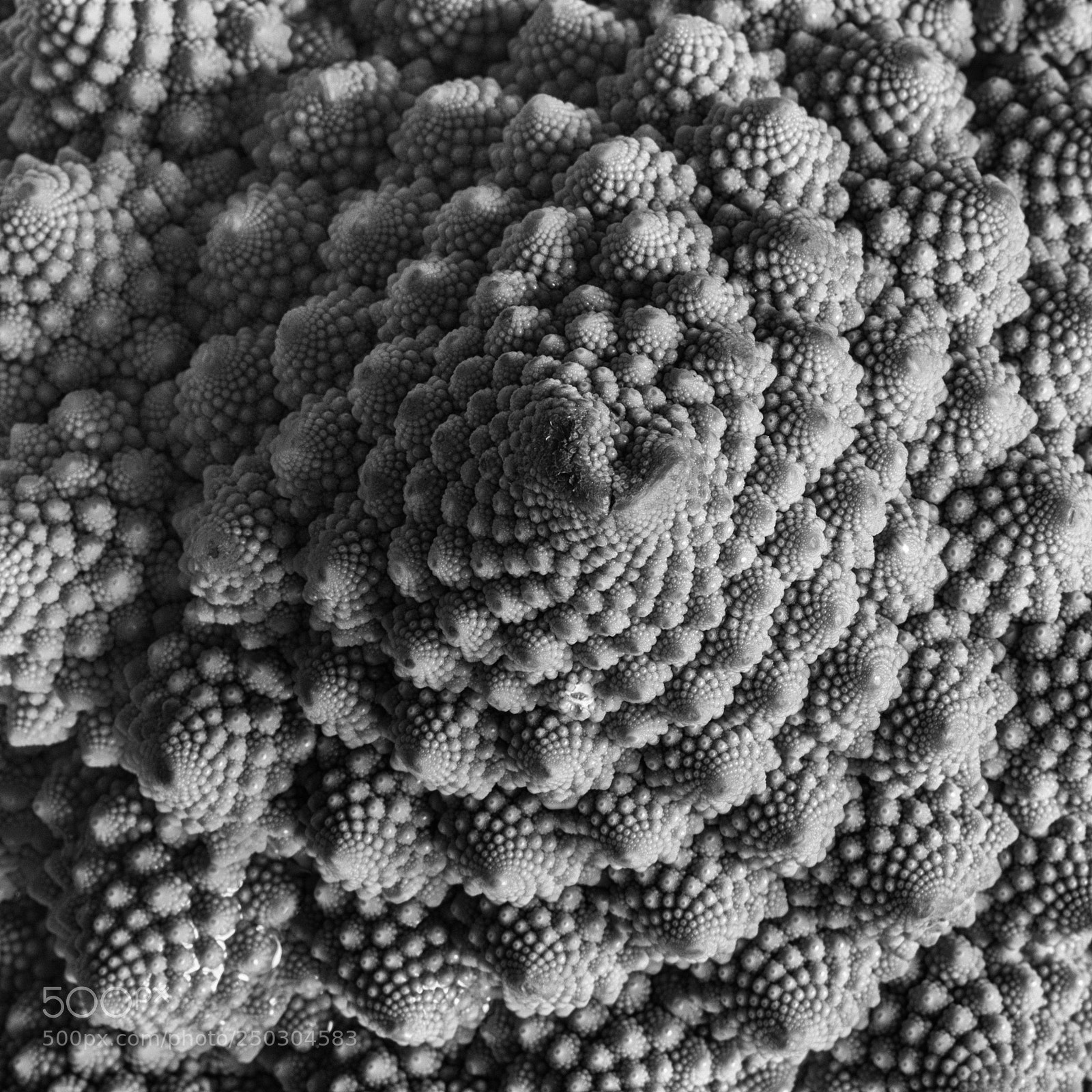 Fujifilm X-T1 sample photo. Food geometry photography