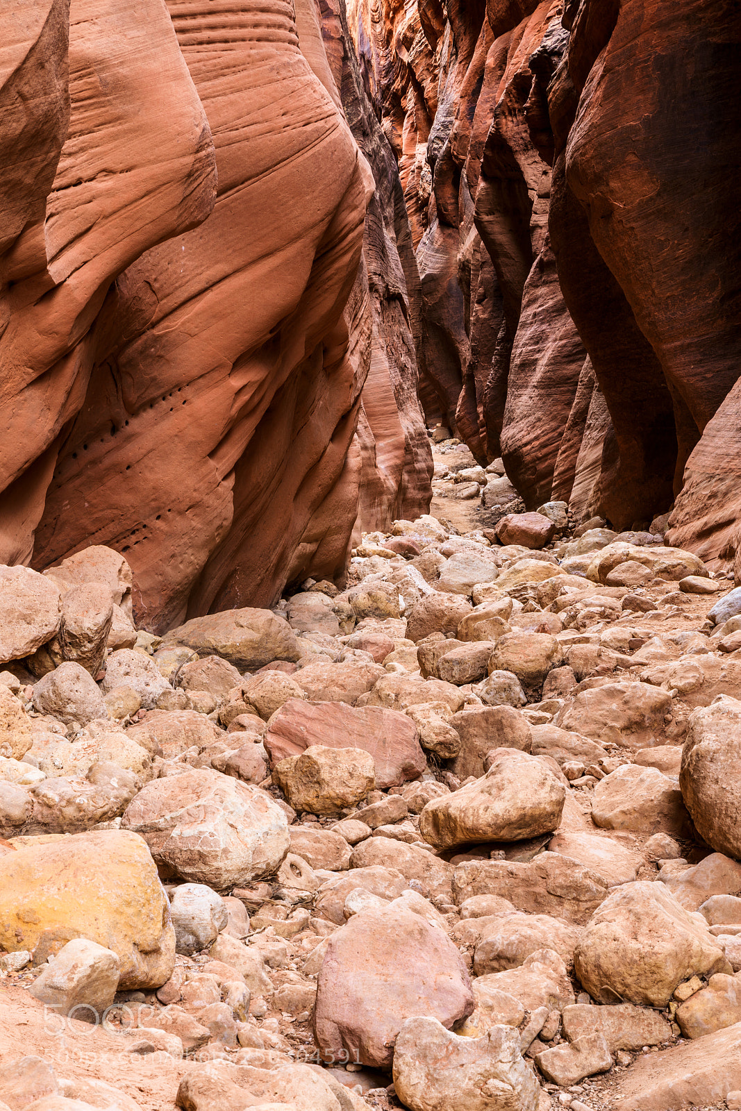 Canon EOS 5D Mark IV sample photo. Rocky road photography