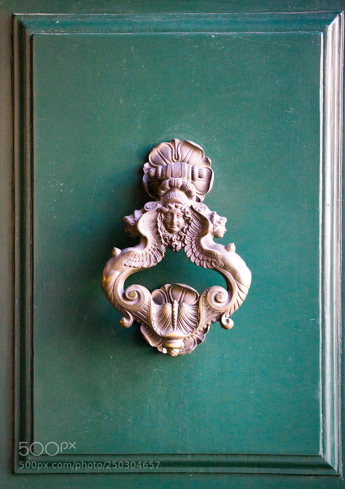 Sony Alpha NEX-5T sample photo. Guardian of the door photography
