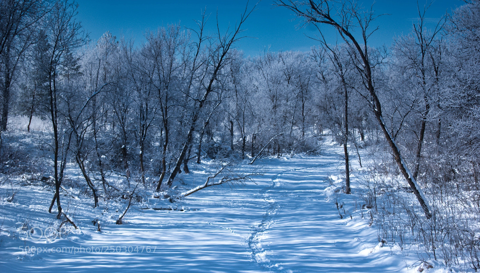Pentax K-3 II sample photo. Down the frozen river photography