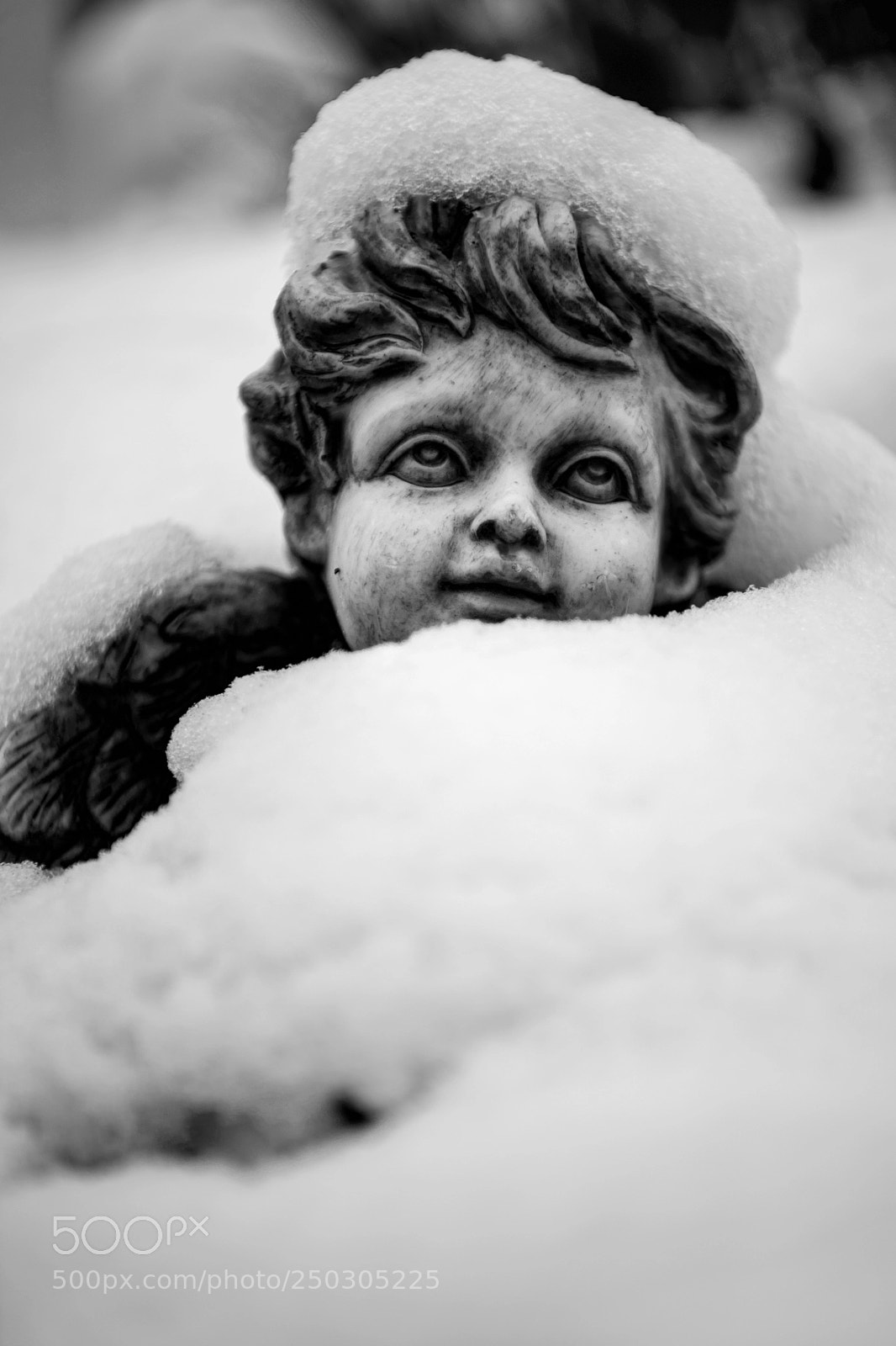 Nikon D810 sample photo. The endless winter! photography