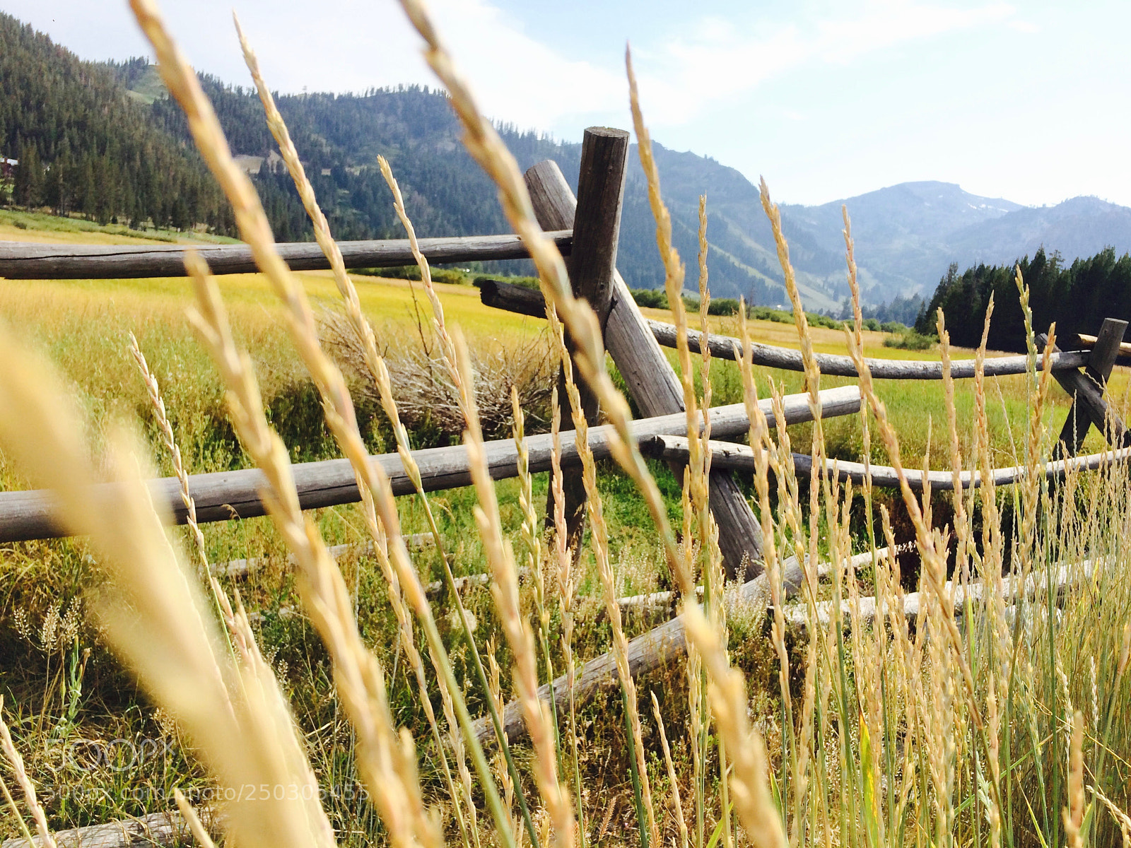 Apple iPhone 5s sample photo. Meadow fence photography