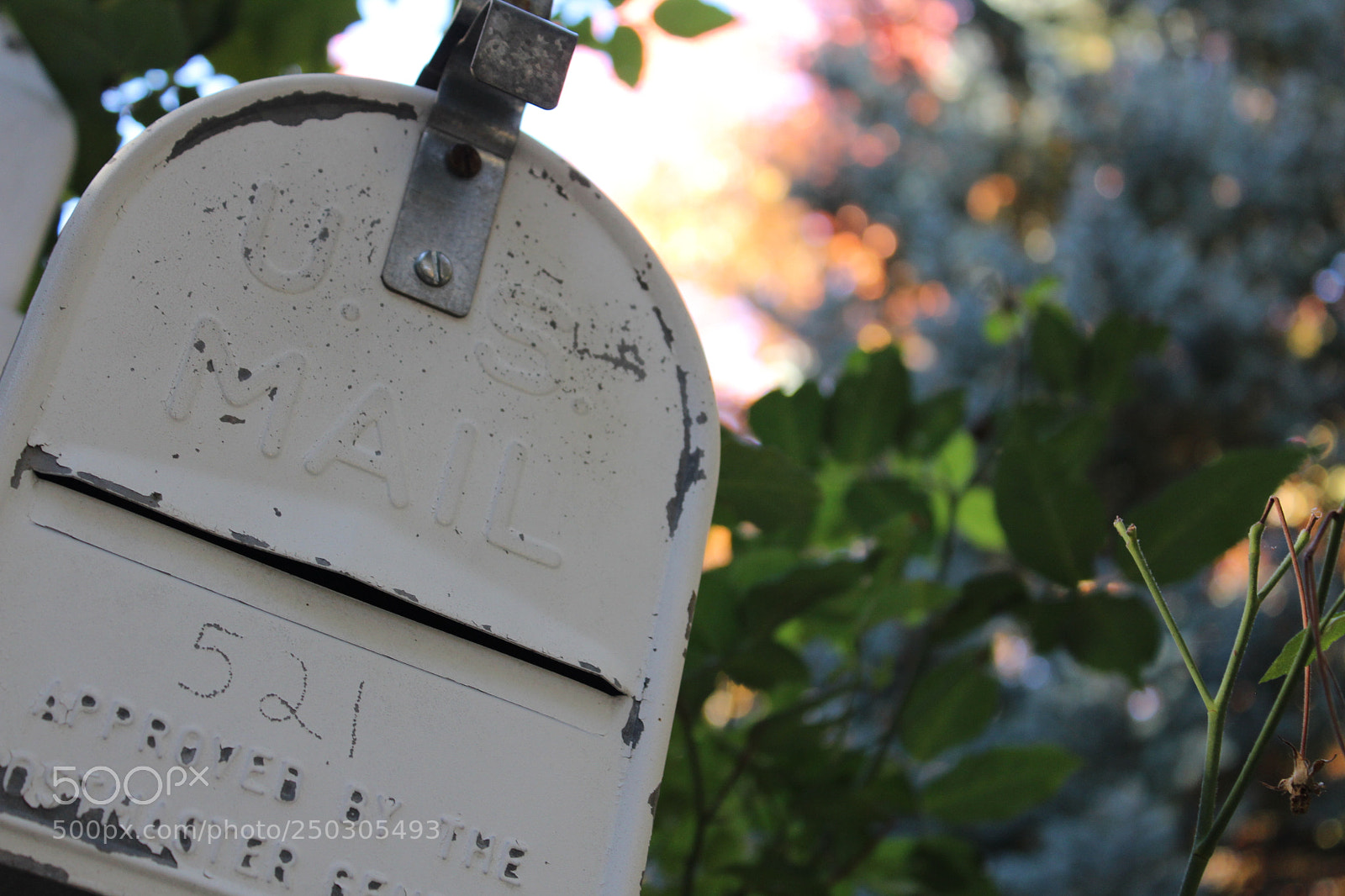 Canon EOS 600D (Rebel EOS T3i / EOS Kiss X5) sample photo. White vintage mailbox photography