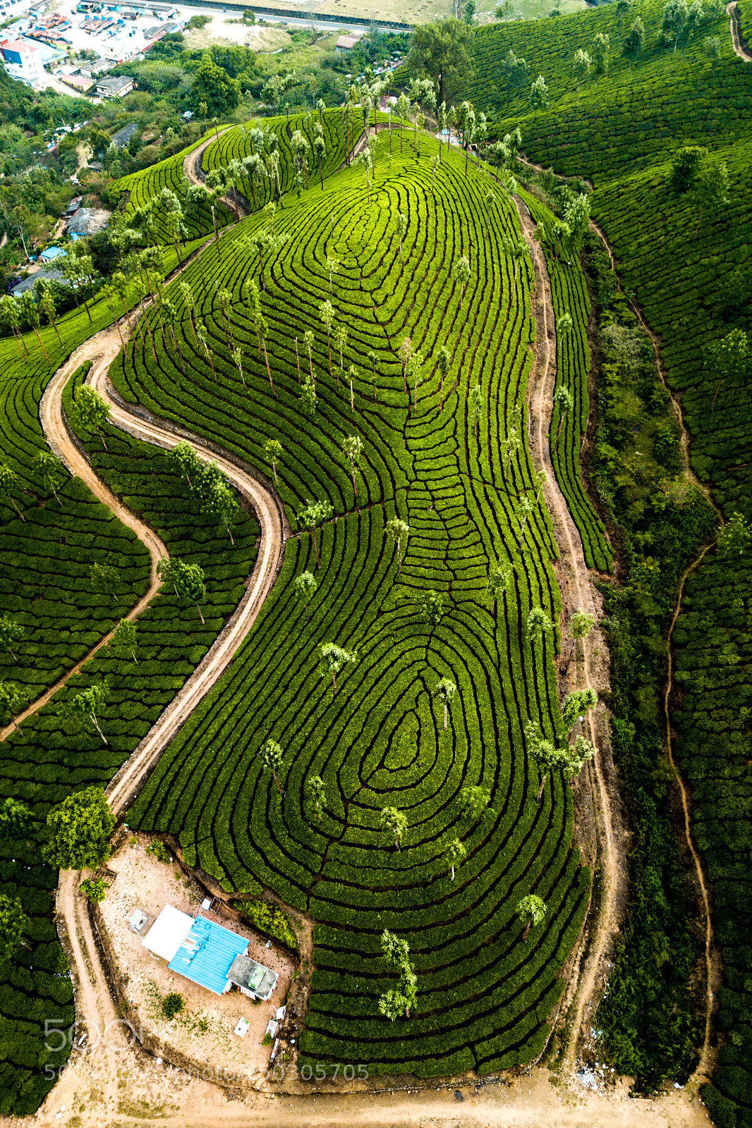 DJI FC220 sample photo. Tea plantation in munnar photography