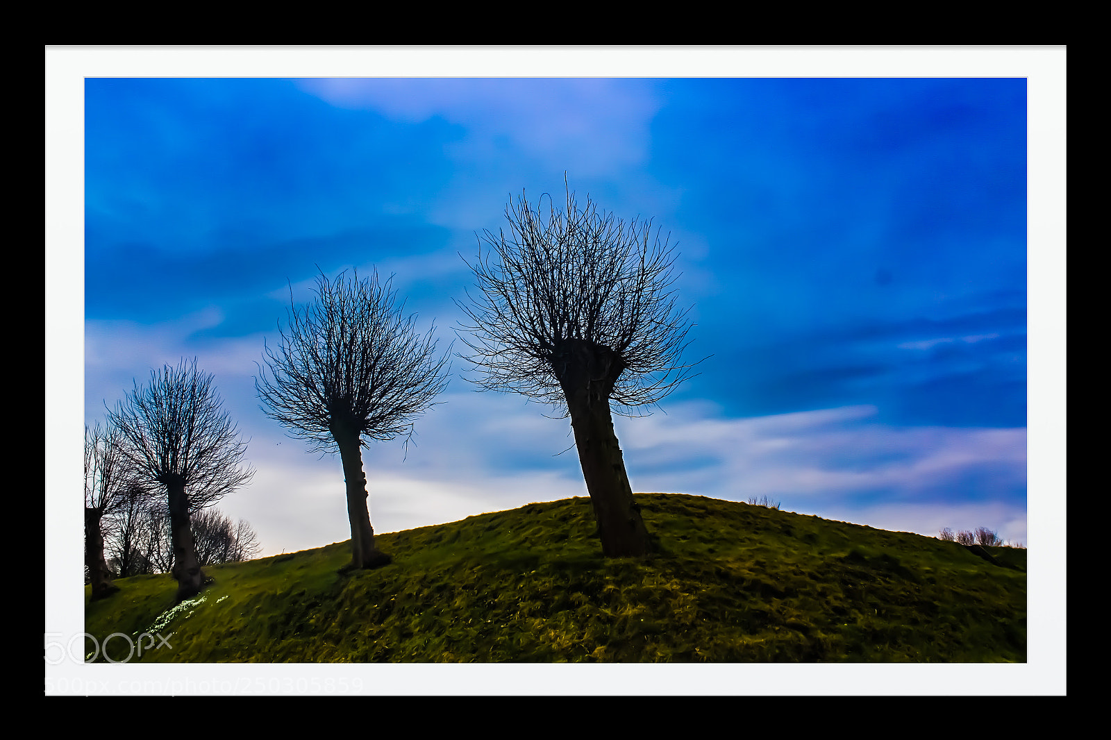 Canon EOS 500D (EOS Rebel T1i / EOS Kiss X3) sample photo. Bourtange photography