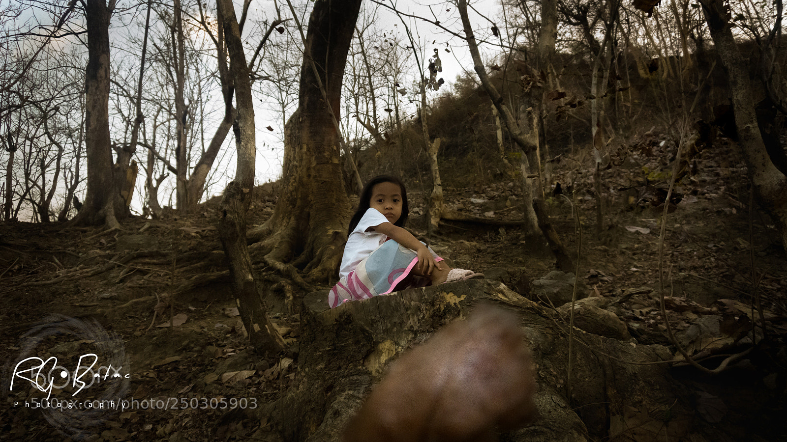 Sony a6000 sample photo. Into the woods photography