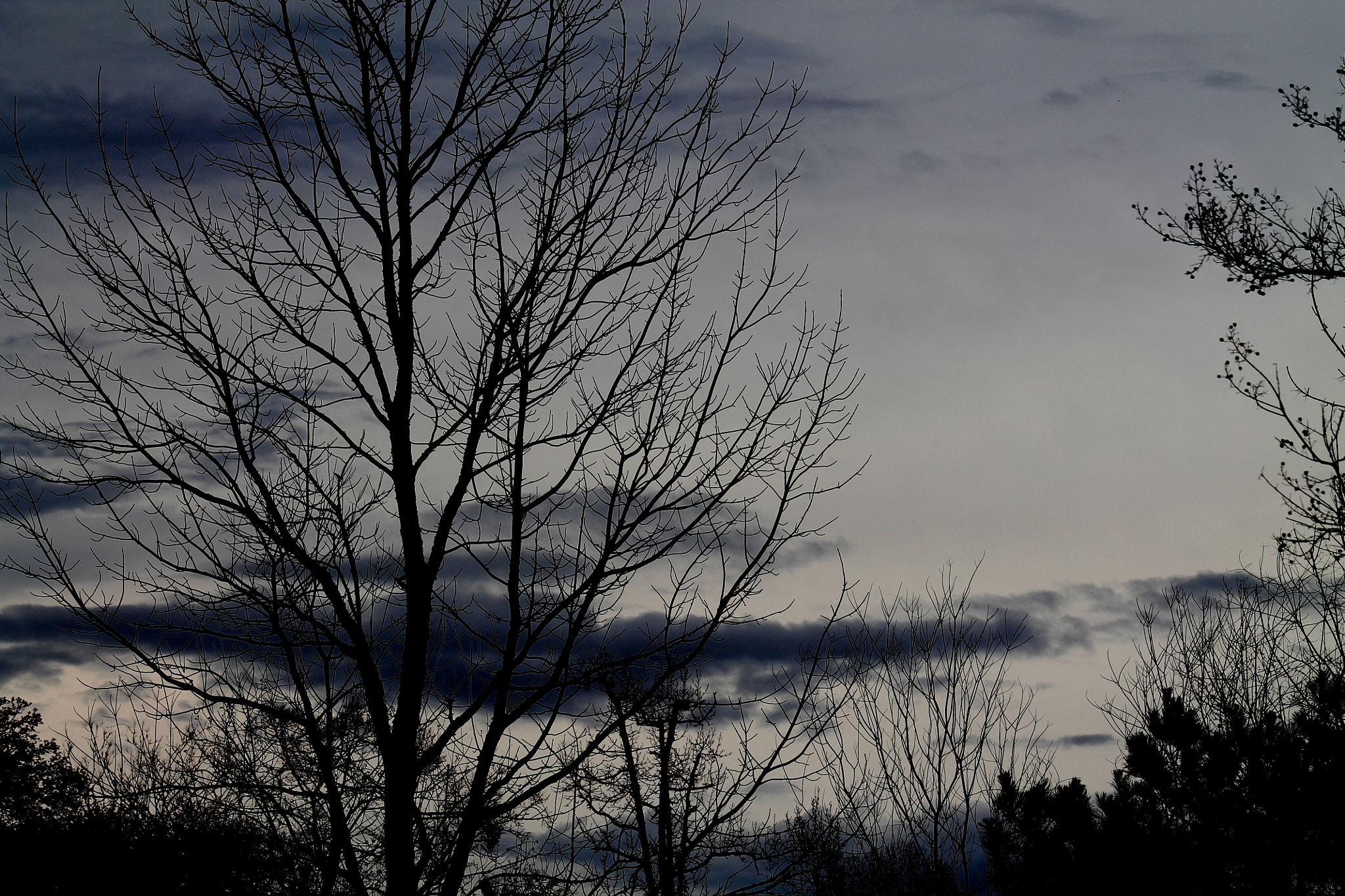 Canon EOS 1100D (EOS Rebel T3 / EOS Kiss X50) sample photo. Beyond a louisiana sunset photography