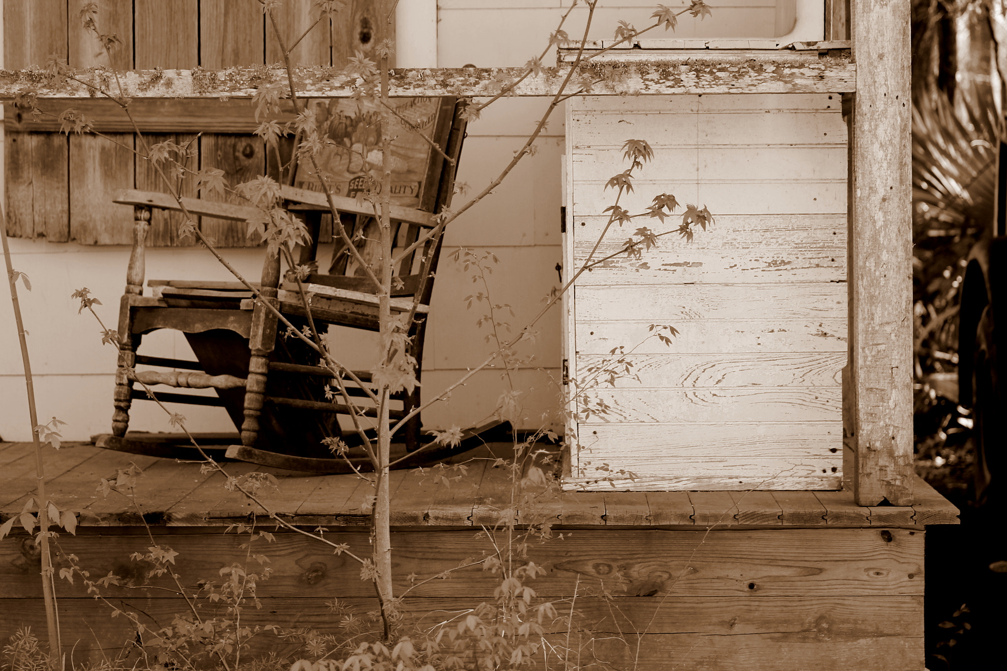 Canon EOS 1100D (EOS Rebel T3 / EOS Kiss X50) sample photo. An abandoned home in louisiana photography