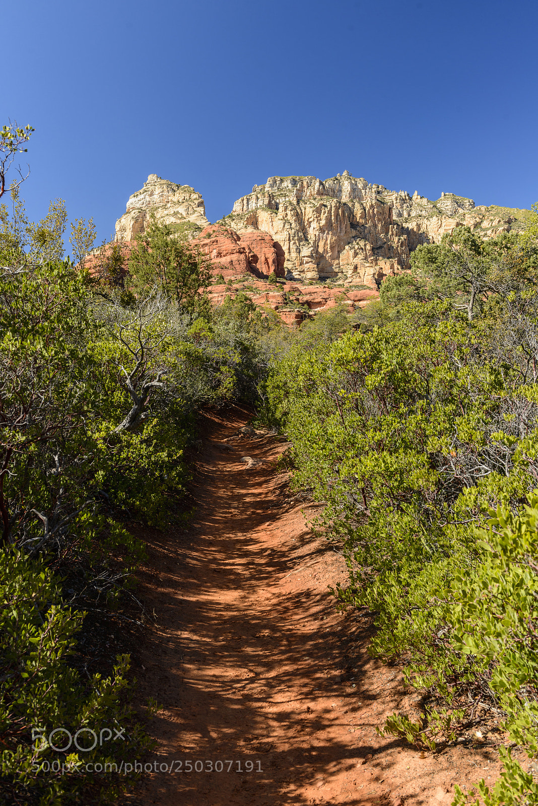 Nikon D800 sample photo. Boynton canyon trail photography