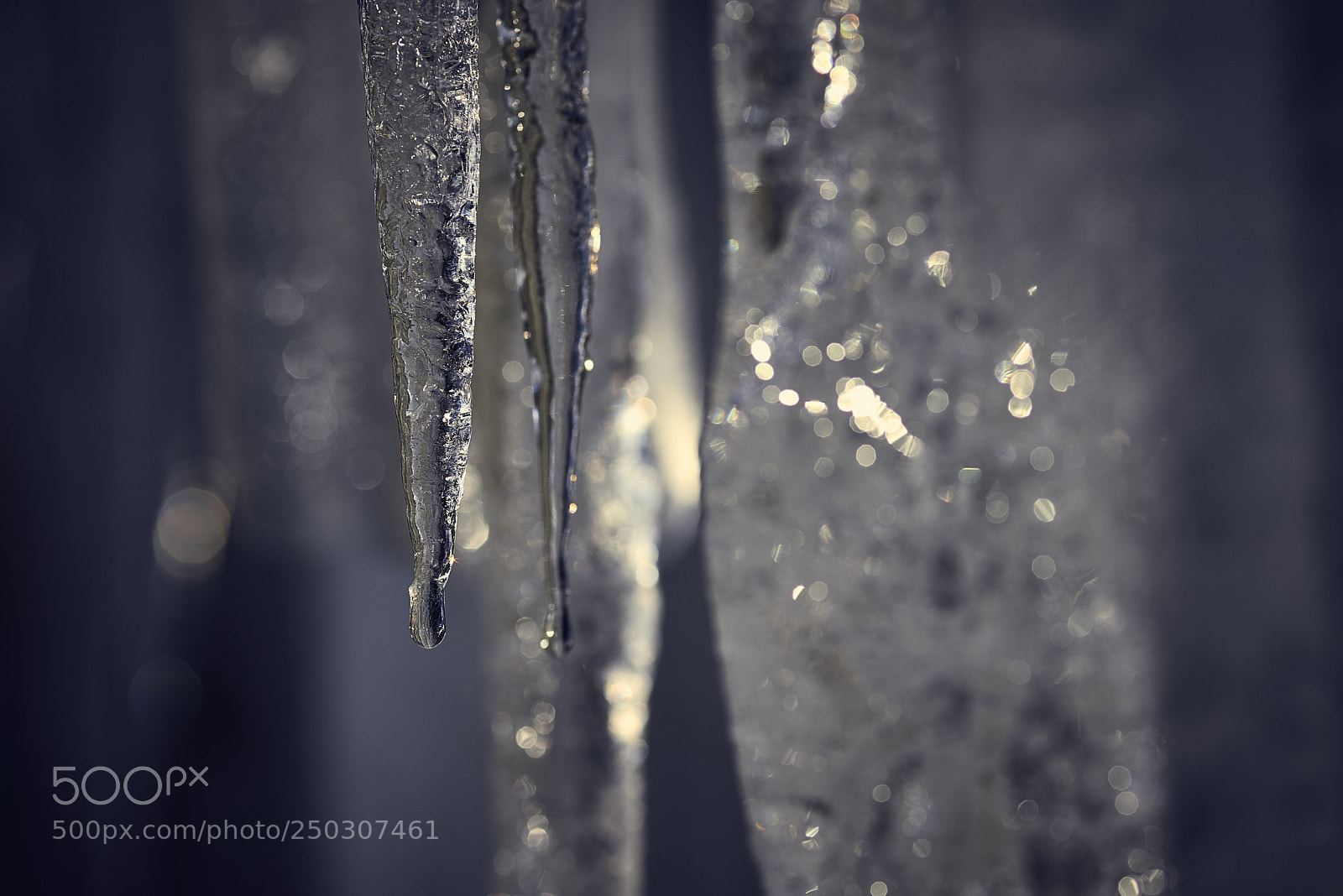 Nikon D800E sample photo. Icescapades photography