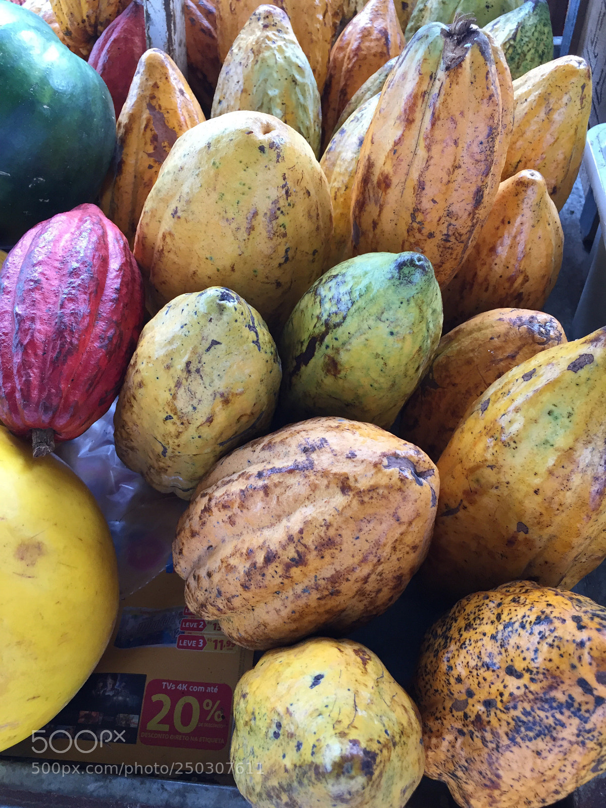 Apple iPhone 6 sample photo. Untitled photography