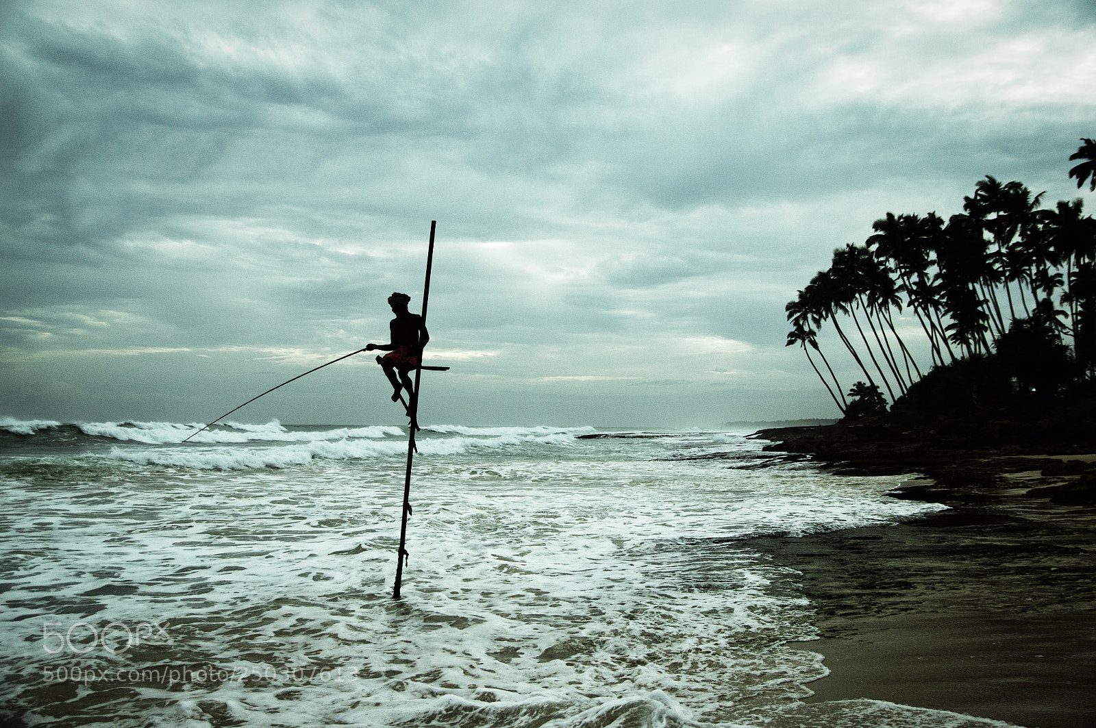 Sony Alpha DSLR-A580 sample photo. Sri lanka photography