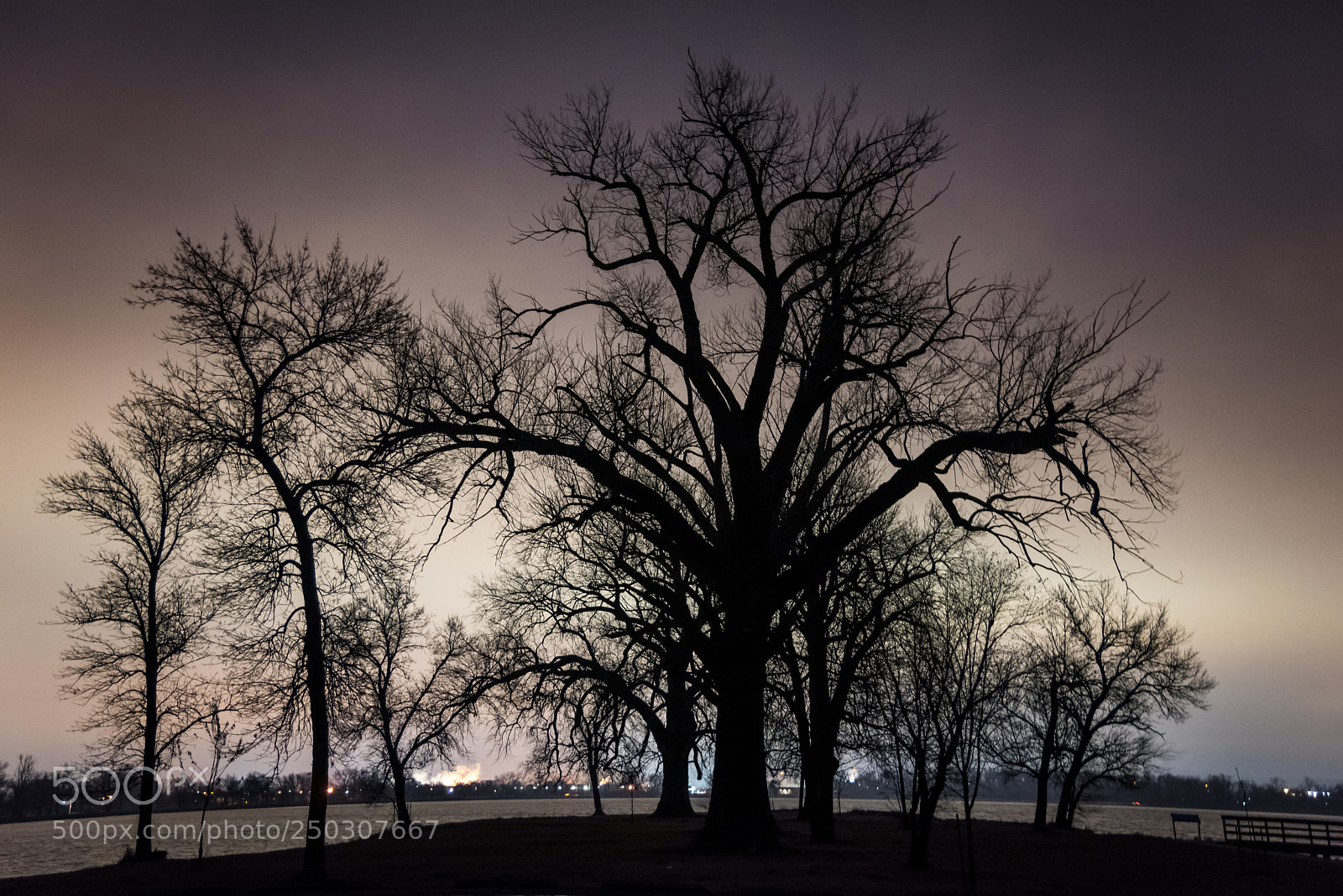 Nikon D810 sample photo. When color is black photography