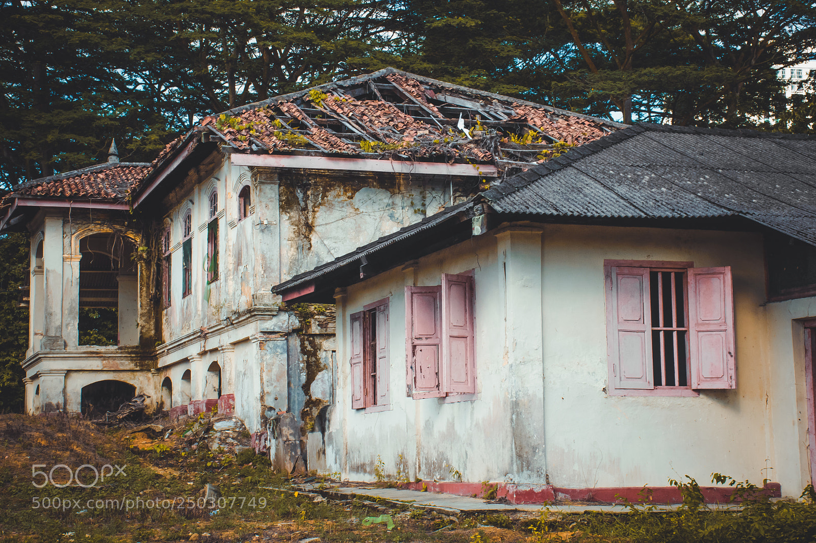 Nikon D5300 sample photo. Abandoned photography