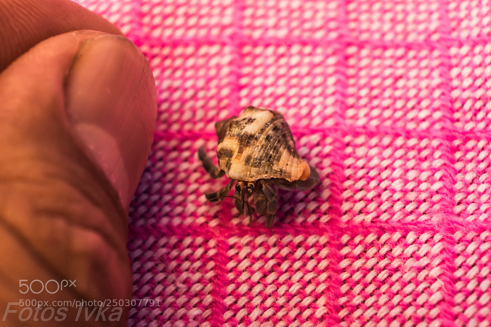 Fujifilm X-T1 sample photo. Dsf photography