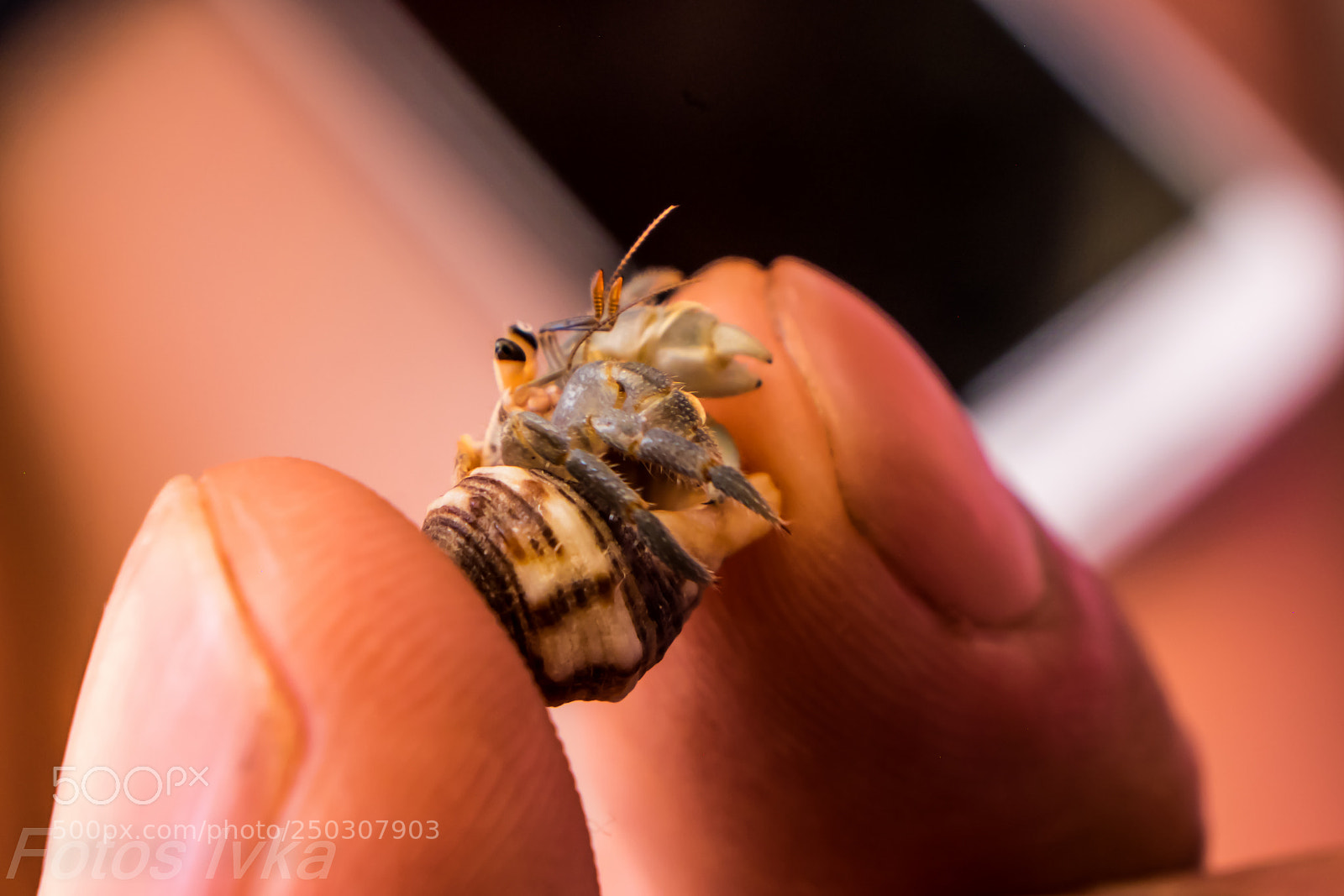 Fujifilm X-T1 sample photo. Dsf photography