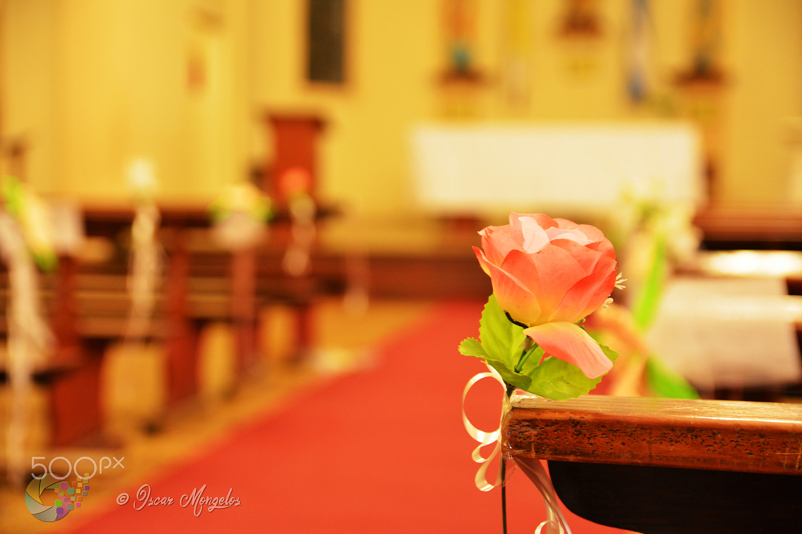 Nikon D7100 sample photo. Little flower photography