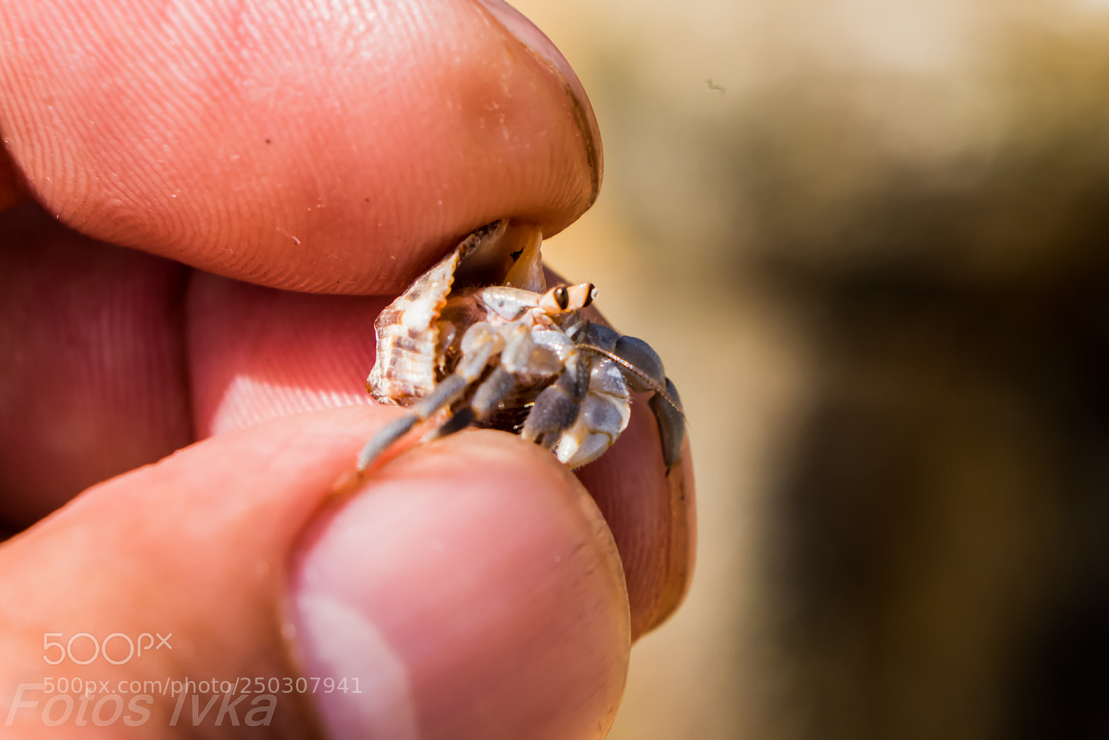 Fujifilm X-T1 sample photo. Dsf photography