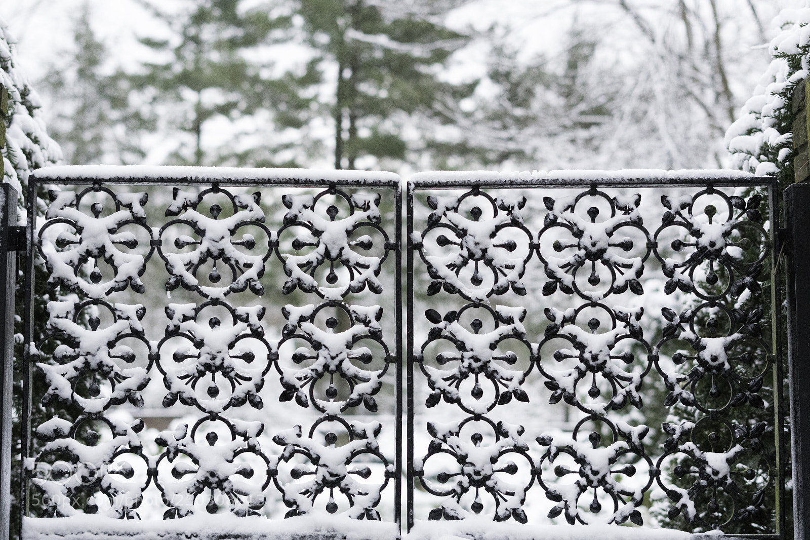Sony a6500 sample photo. Snowy fence photography