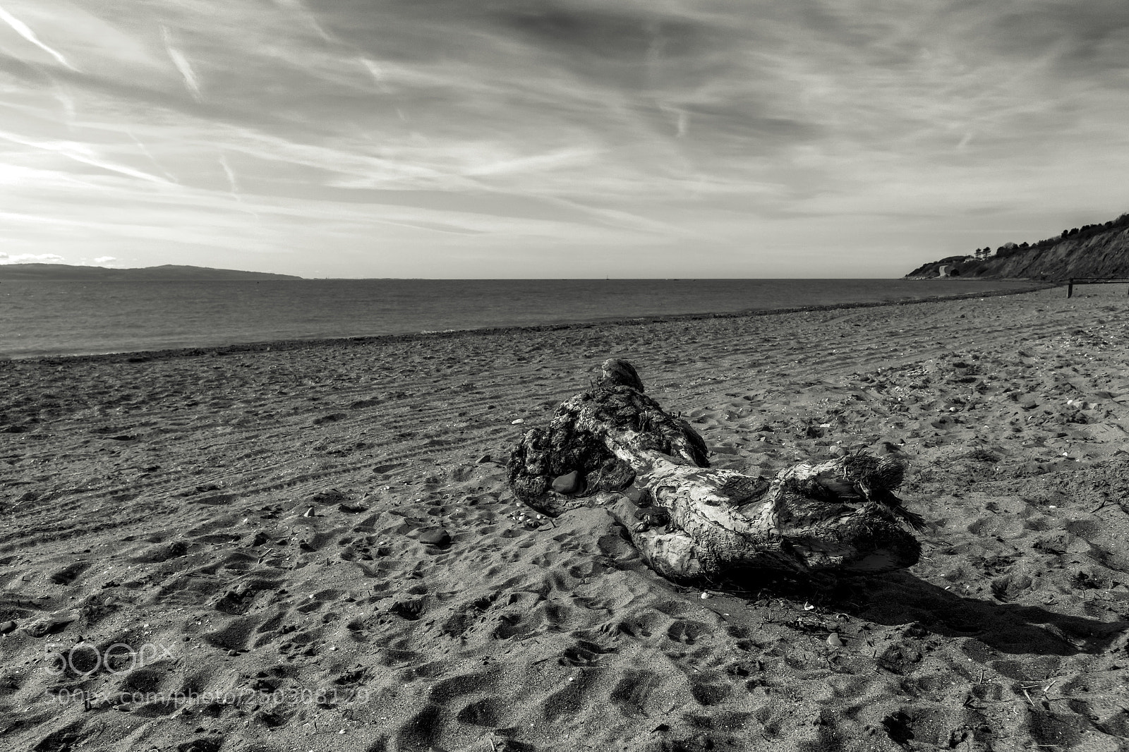 Canon EOS 650D (EOS Rebel T4i / EOS Kiss X6i) sample photo. Driftwood (81/365) photography