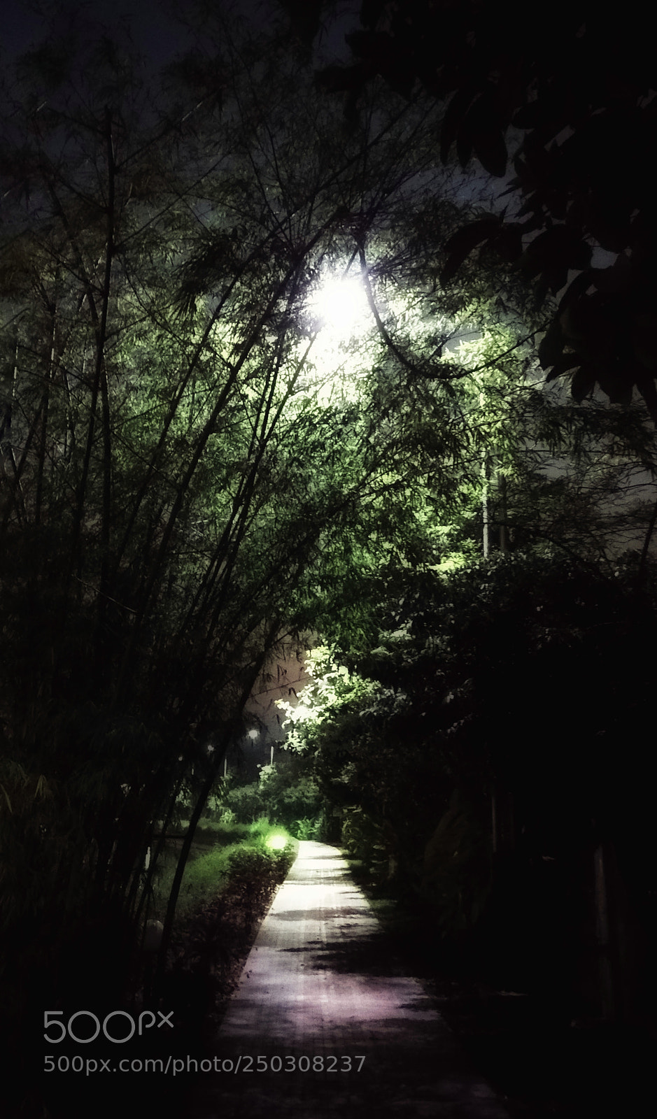 Xiaomi Mi A1 sample photo. Park at evening photography