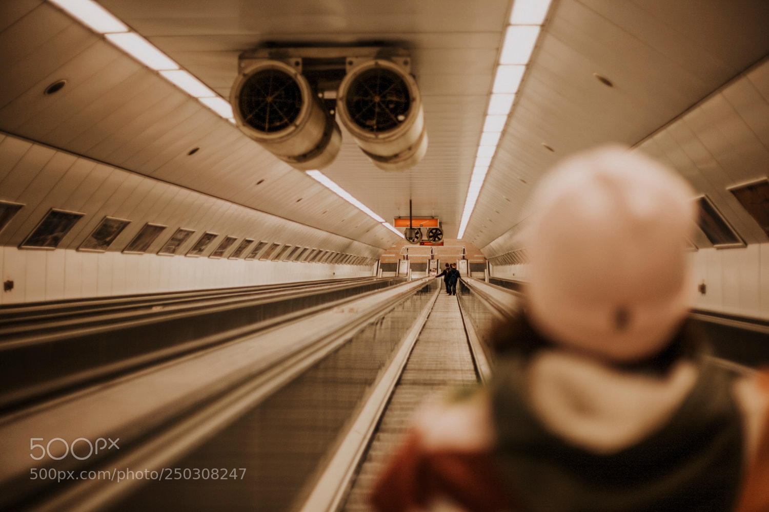 Canon EOS 5D Mark II sample photo. Lines photography