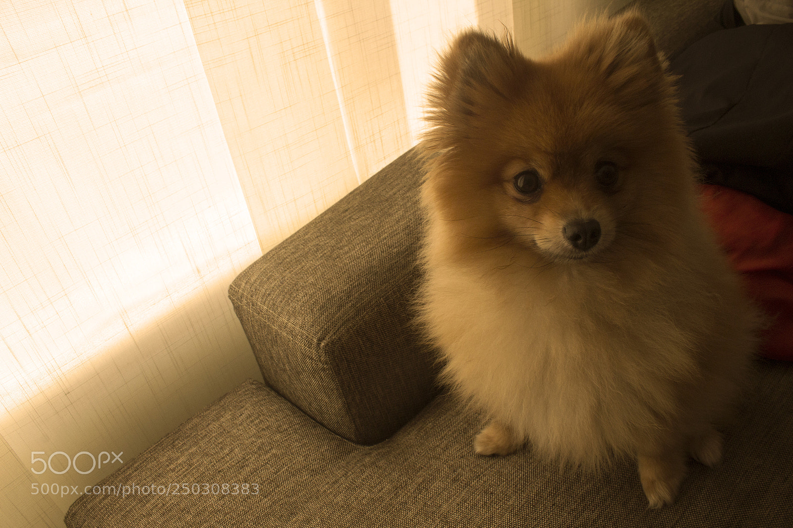 Canon EOS 1200D (EOS Rebel T5 / EOS Kiss X70 / EOS Hi) sample photo. Eva photography