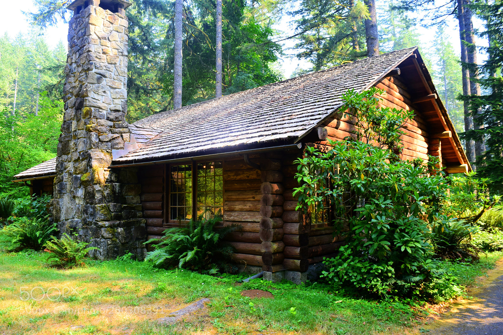 Nikon D5300 sample photo. A cabin in the photography