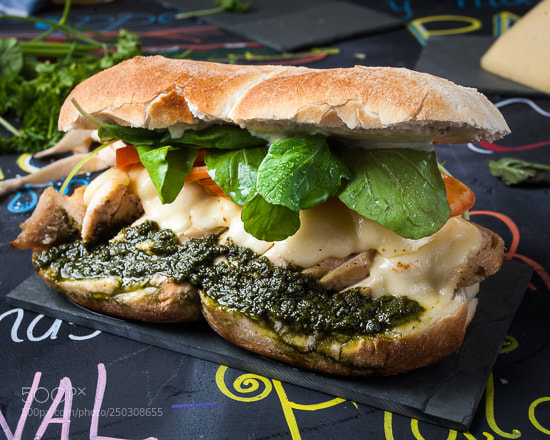 Canon EOS-1D Mark III sample photo. Lolita pizza panini x photography