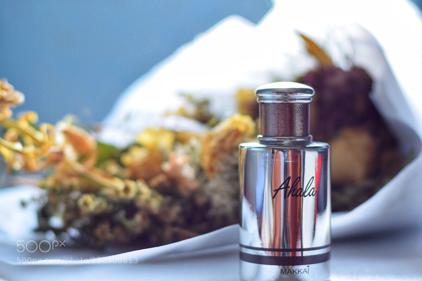 Nikon D5300 sample photo. Untitled photography
