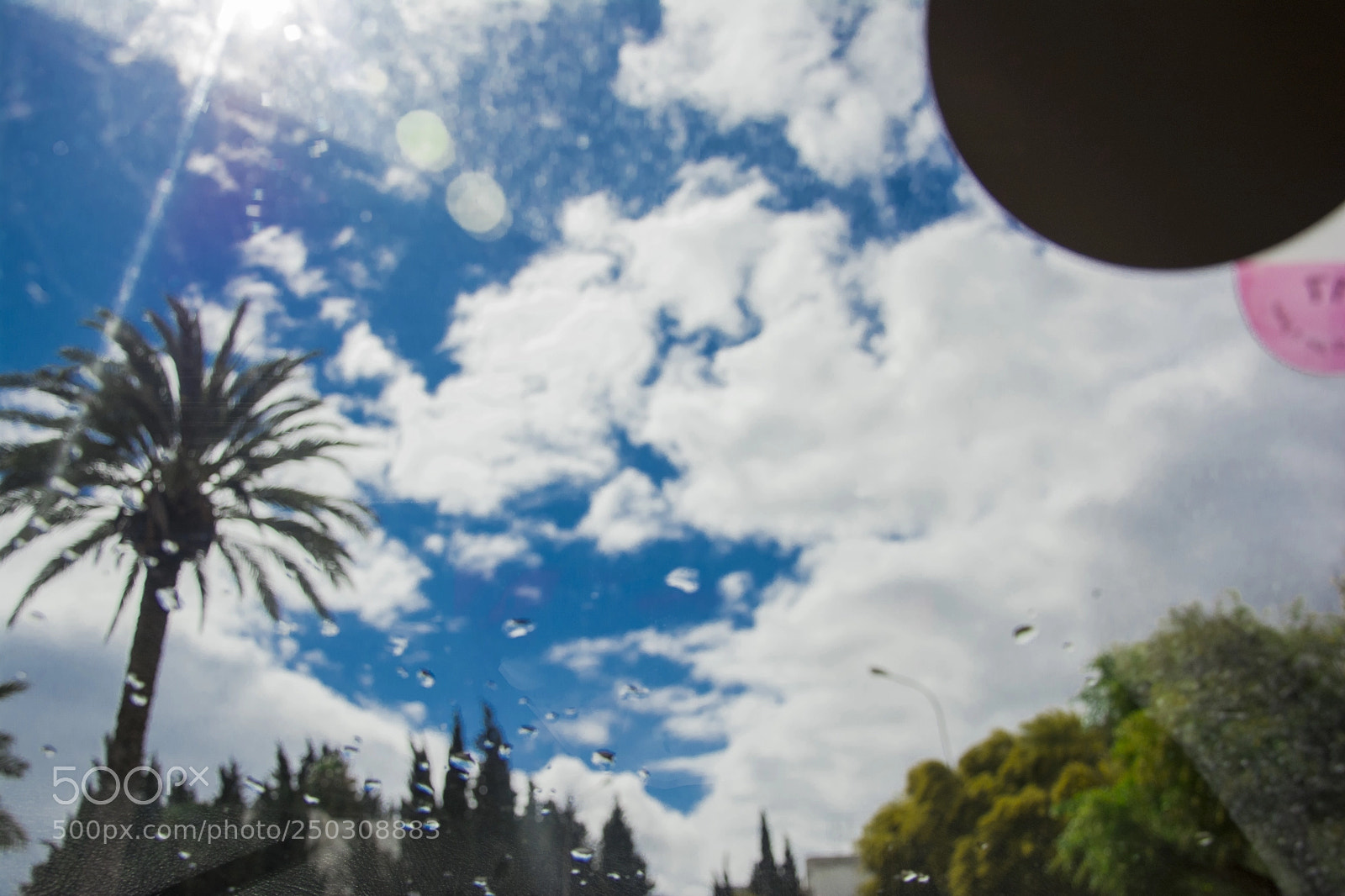 Nikon D5200 sample photo. On my way photography