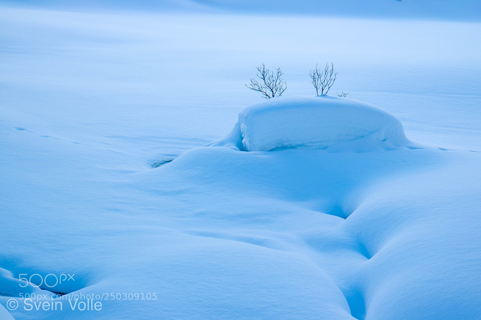 Canon EOS M3 sample photo. Snow study ii photography