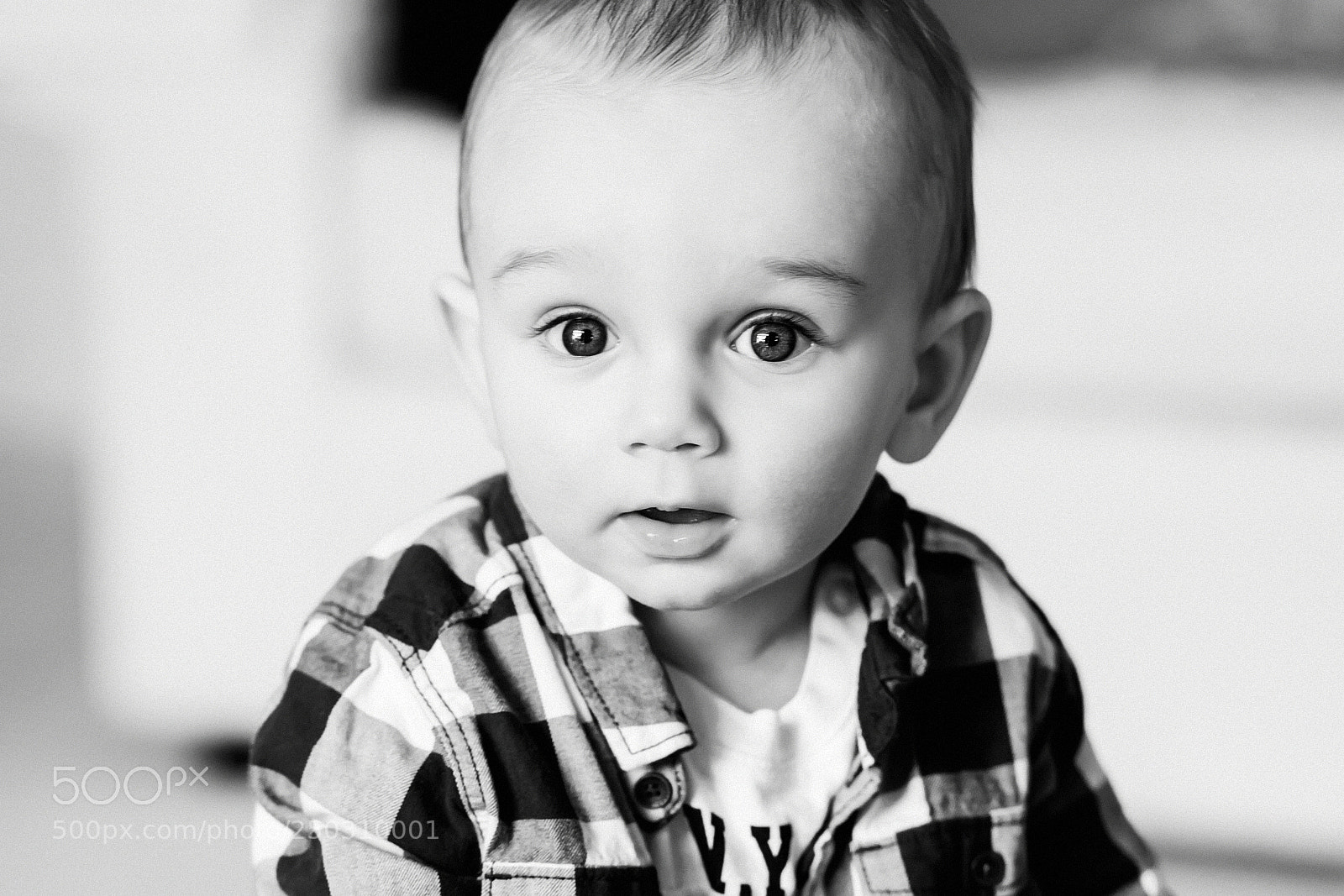 Sony a7R III sample photo. Max photography