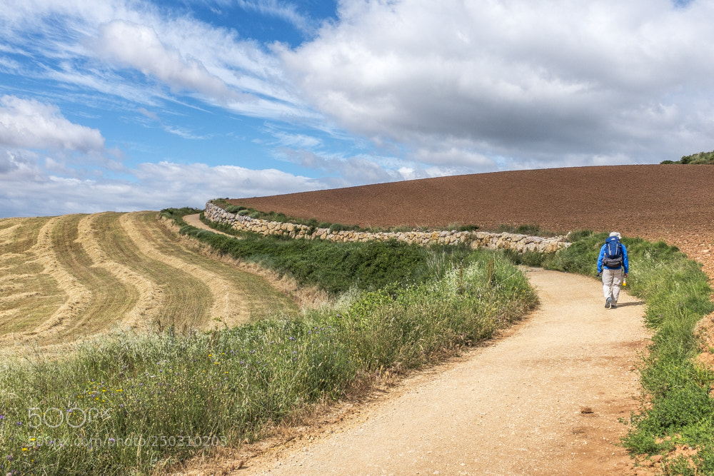 Fujifilm X100S sample photo. Pilgrim | photography