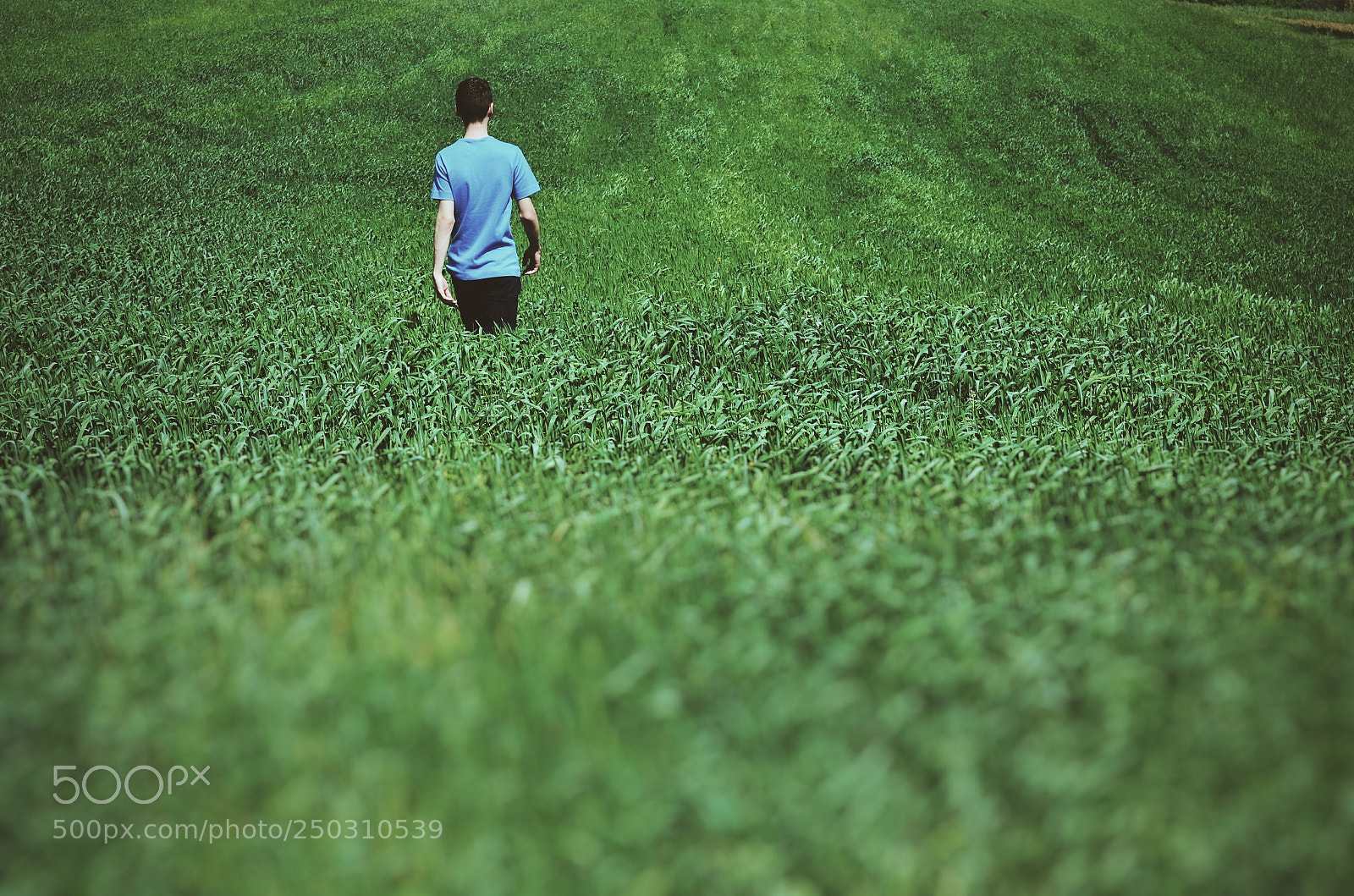 Nikon D7000 sample photo. Green field photography