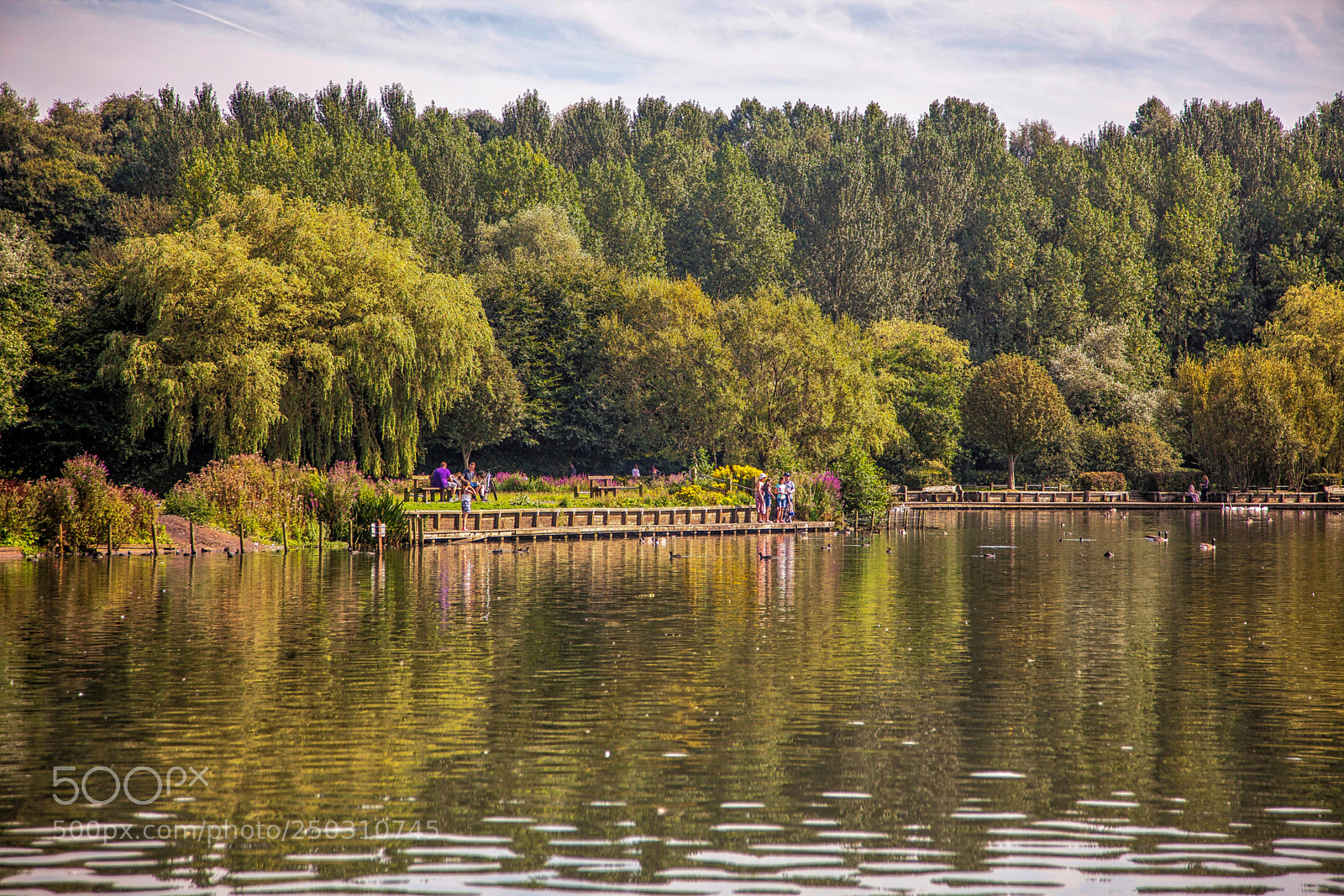 Canon EOS 5D Mark II sample photo. Water way photography