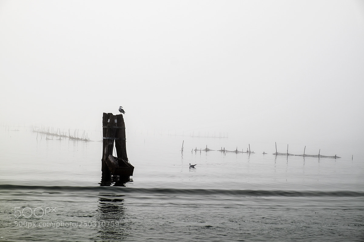 Fujifilm X-T1 sample photo. Laguna nebbiosa photography