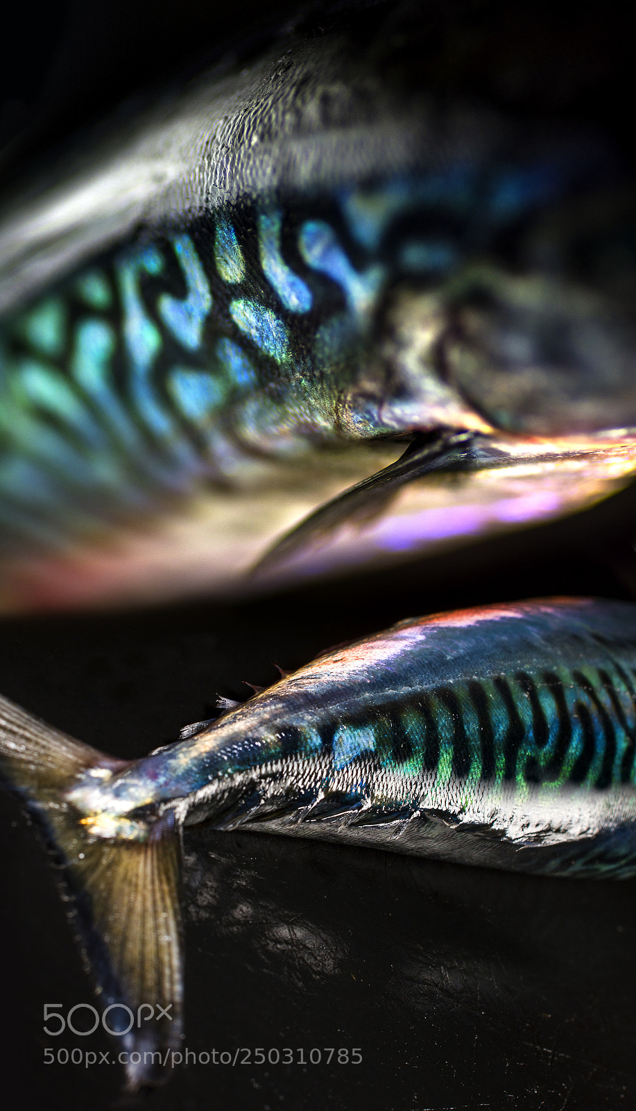 Nikon D7200 sample photo. Reflejos marinos photography