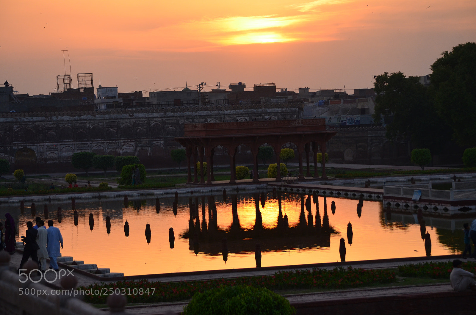 Nikon D5100 sample photo. Untitled photography